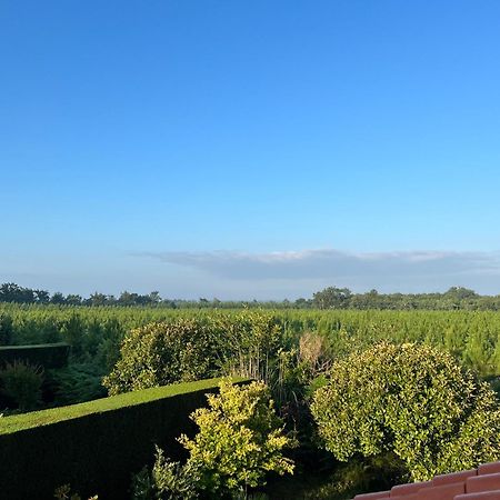 Jolie Maison De Vacances Avec Terrasse Et Jardin Saint-Julien-en-Born Luaran gambar