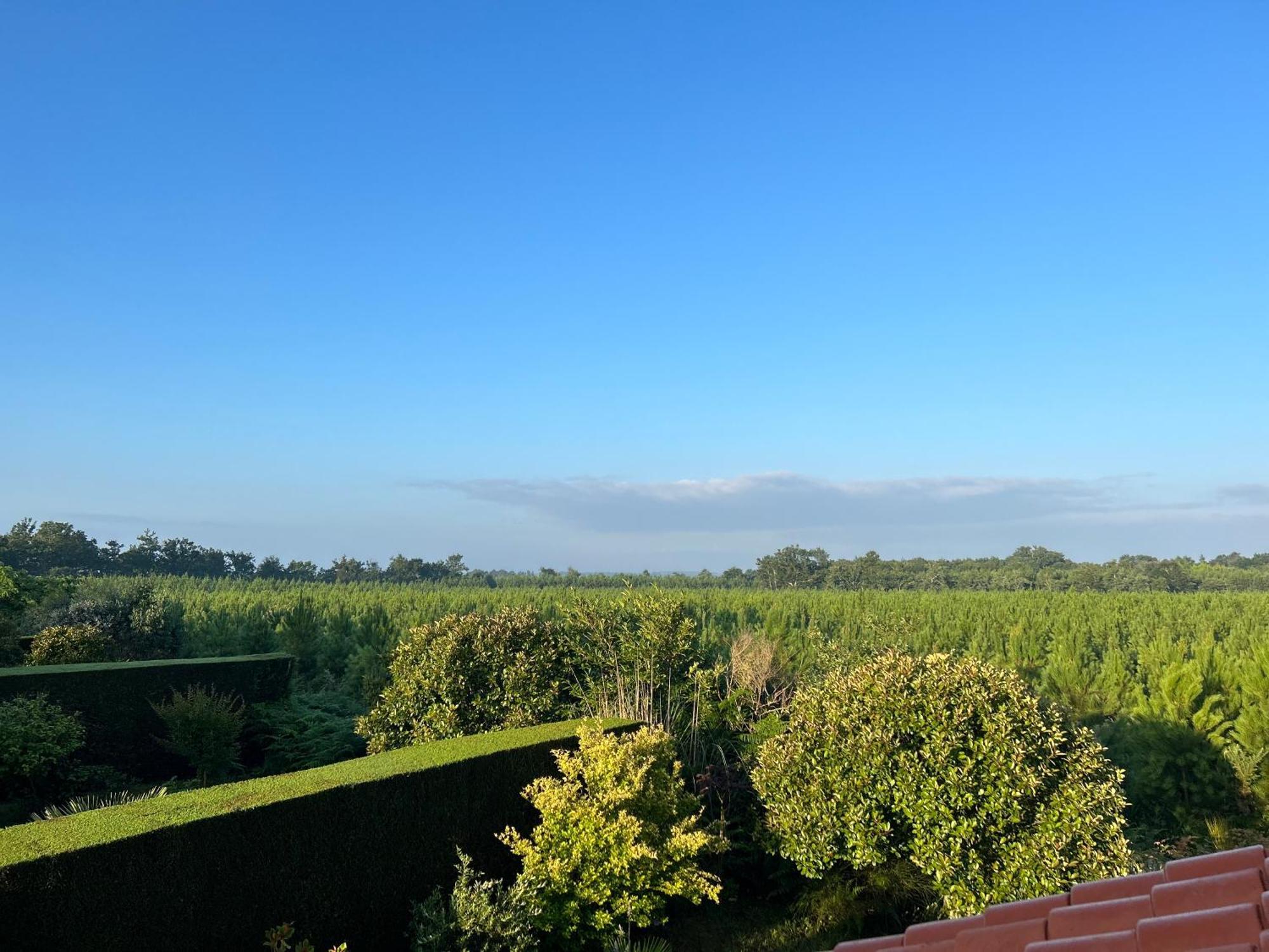 Jolie Maison De Vacances Avec Terrasse Et Jardin Saint-Julien-en-Born Luaran gambar