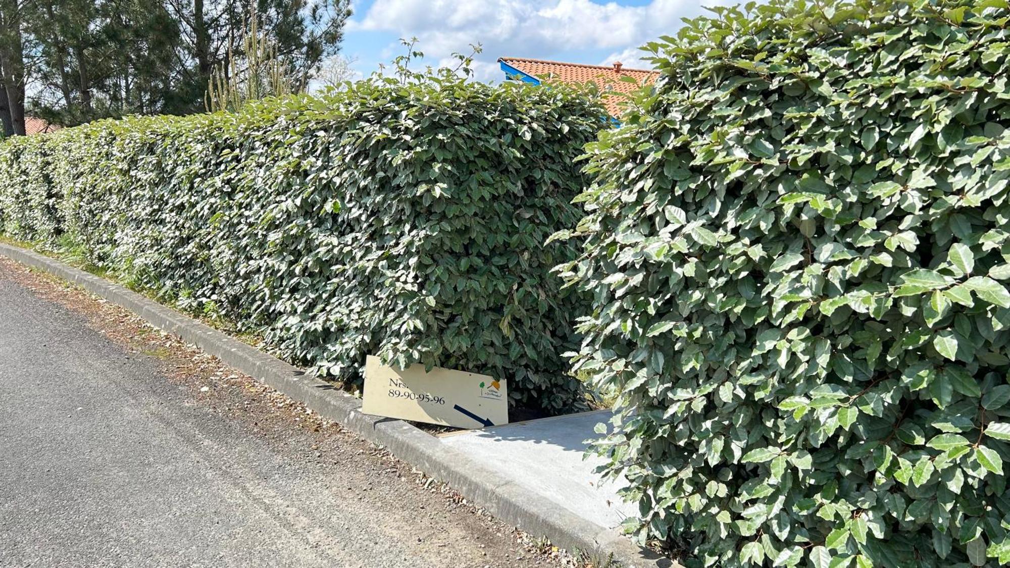 Jolie Maison De Vacances Avec Terrasse Et Jardin Saint-Julien-en-Born Luaran gambar