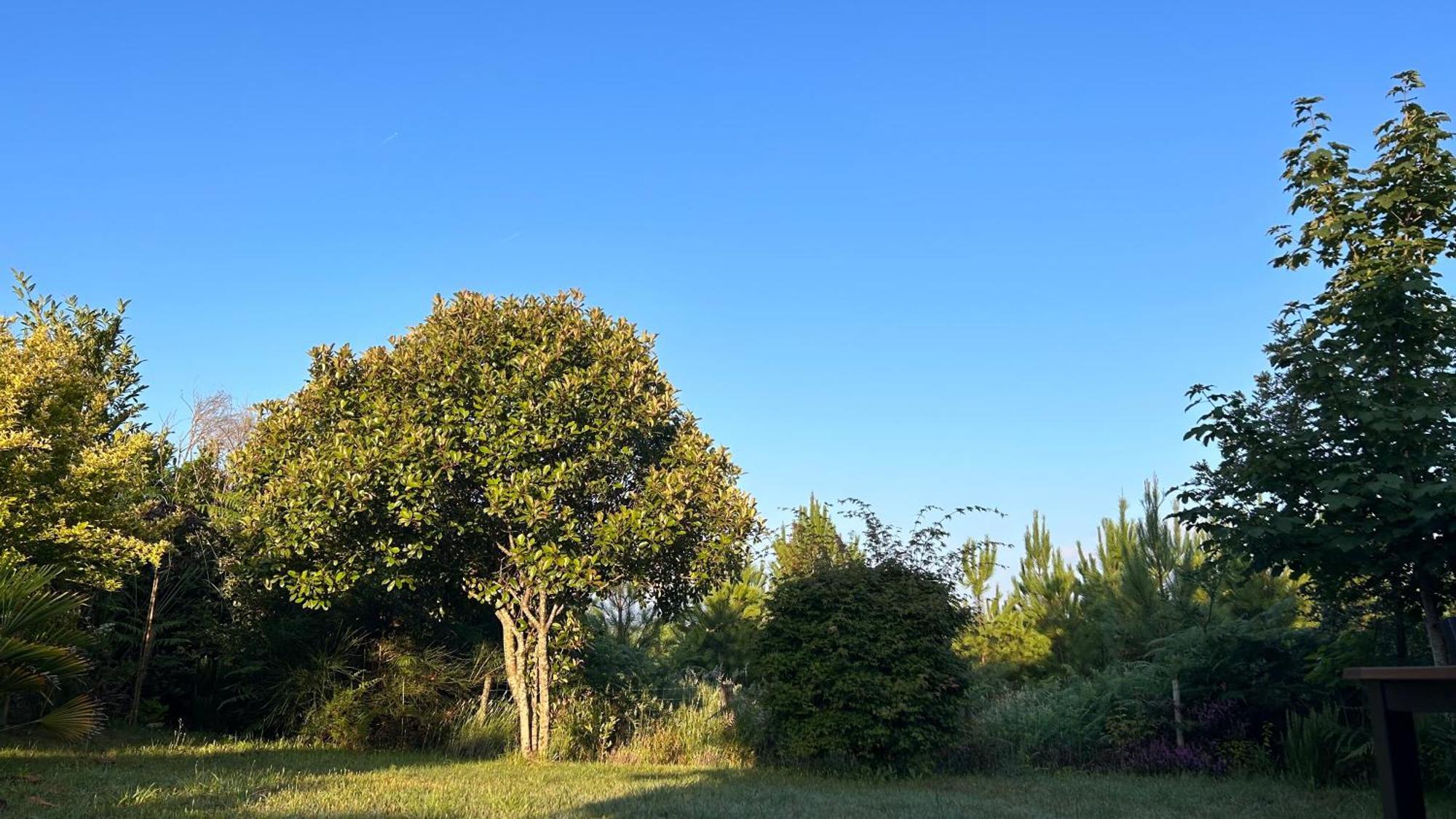 Jolie Maison De Vacances Avec Terrasse Et Jardin Saint-Julien-en-Born Luaran gambar